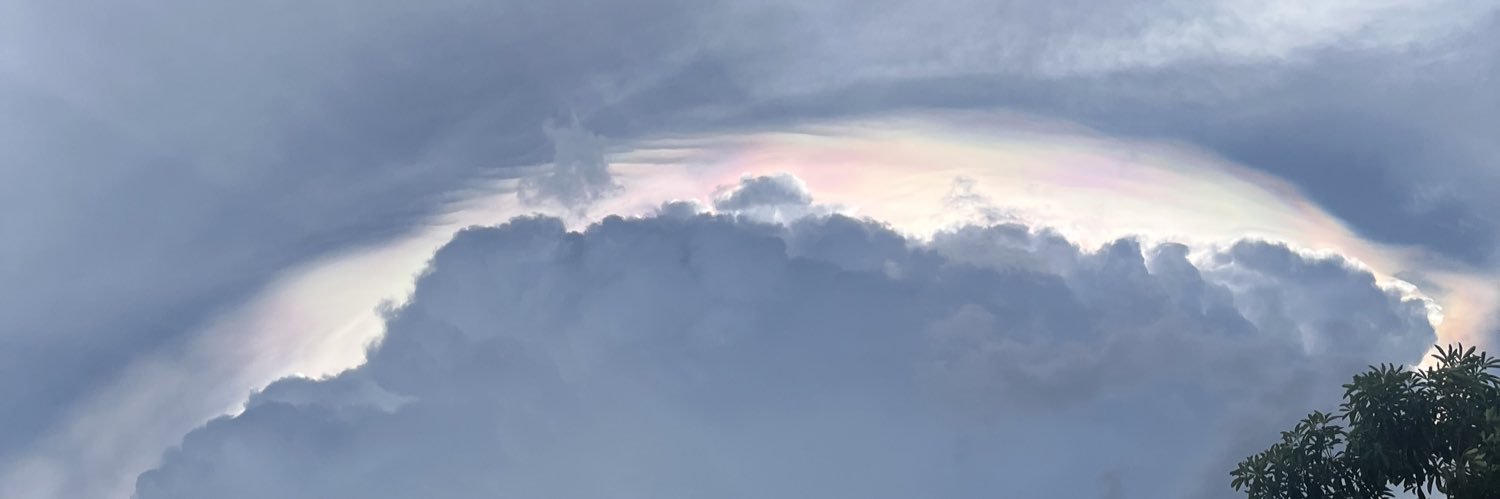 ジェーン banner