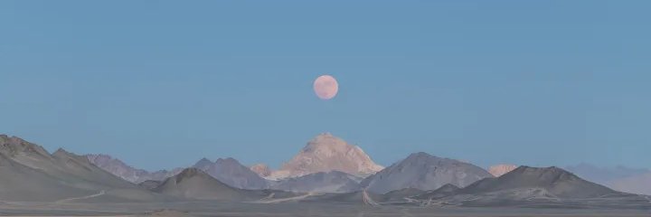 ppluming's profile banner image