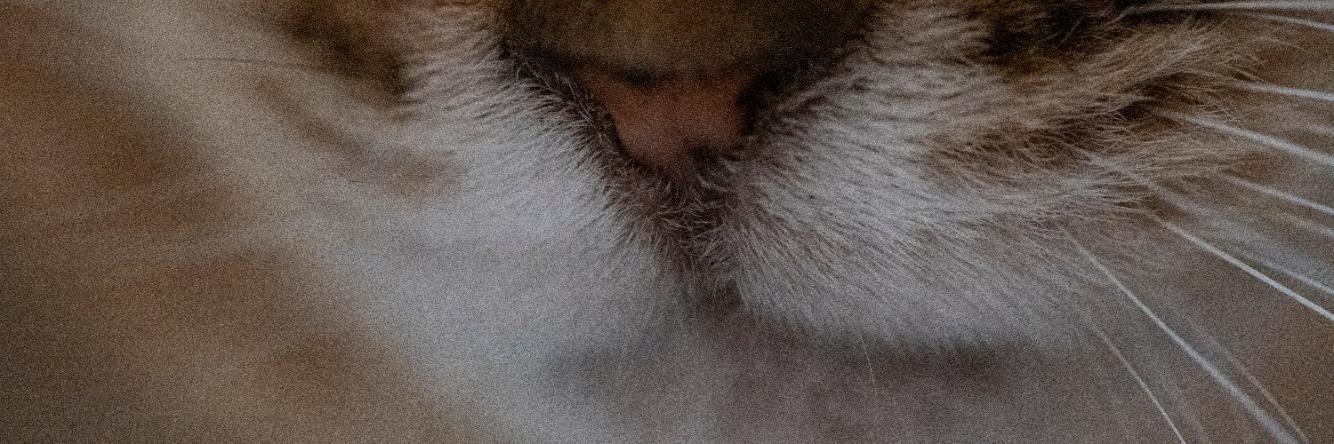 xBIOtech_'s profile banner image