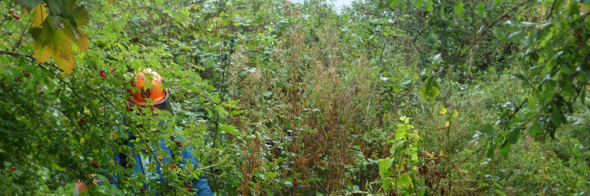 TCVGloucester's profile banner image