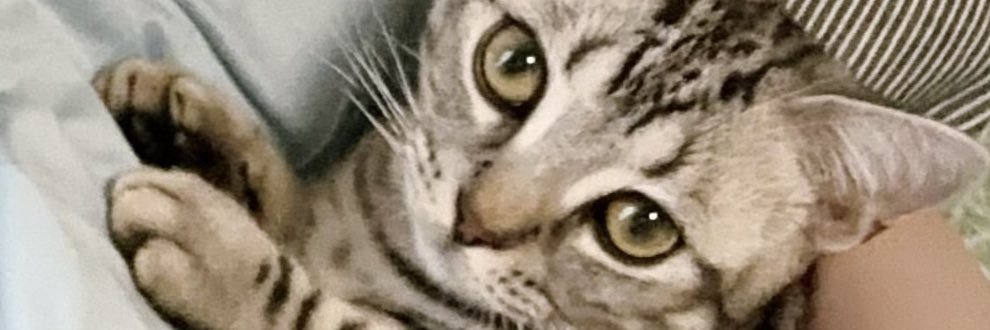 Luil@名古屋の顔が良い歌い手 banner