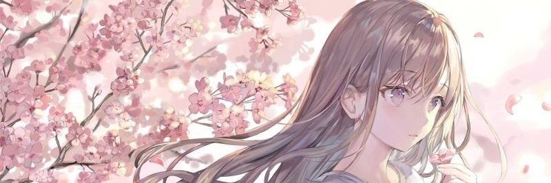 doli_he's profile banner image
