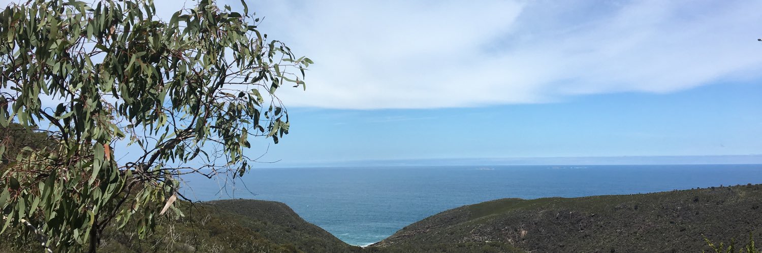 scottxbee's profile banner image