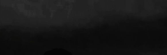 313 banner