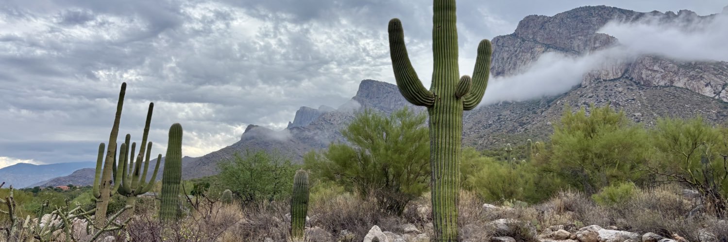 Jess Haberman banner