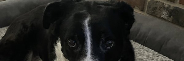 gammieedge Profile Banner