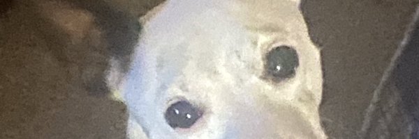 franko_ufo Profile Banner