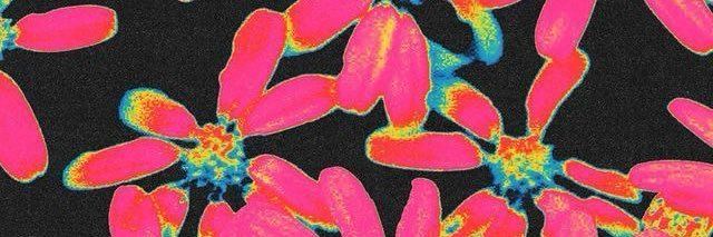 sofiasosap's profile banner image