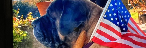 Dogs Profile Banner