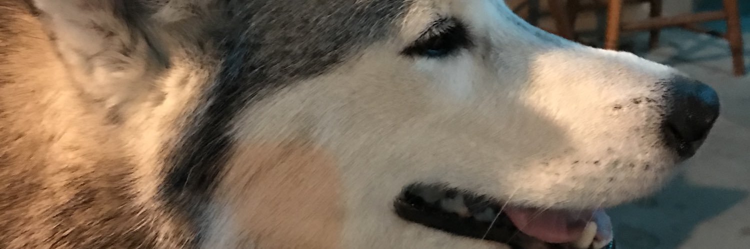 DrewEric22's profile banner image