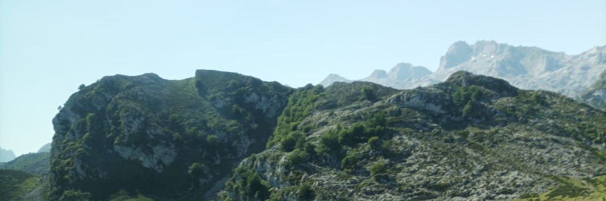 Antonia Serrano banner