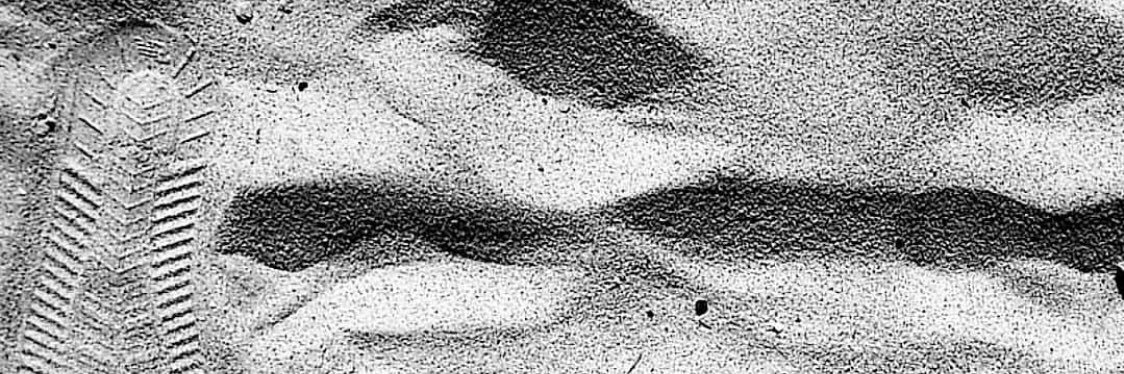 nona banner