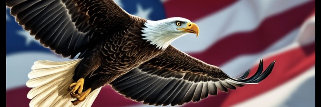 drocas10's profile banner image