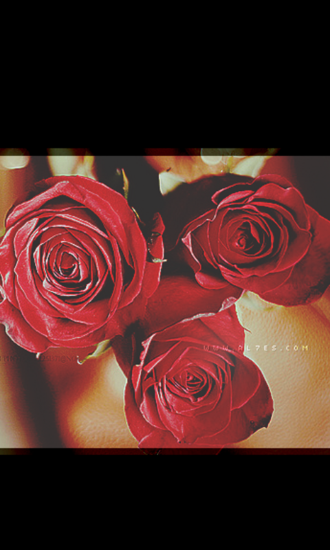 9Fasial's profile banner image