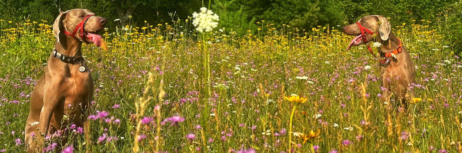 JohnLocke ☦️ banner