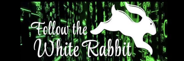 White_Rabbit_Q Profile Banner