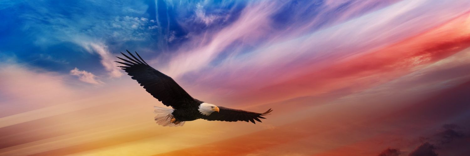 badbrad3666's profile banner image