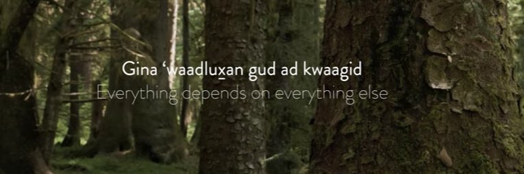 MountainDreami2's profile banner image