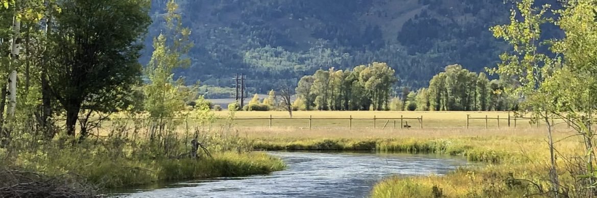 TakedownDDT 🇺🇸 banner