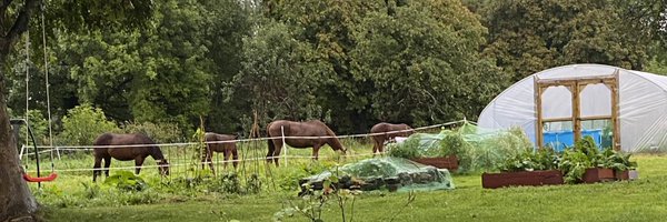 SDRafterBL Profile Banner