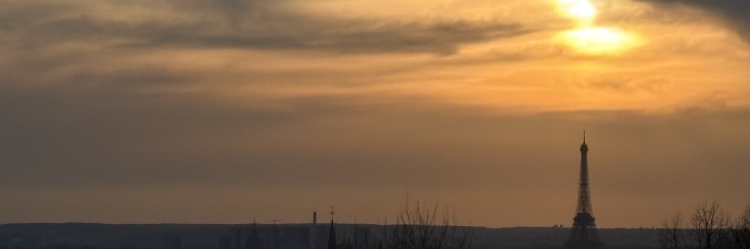 🌼 banner