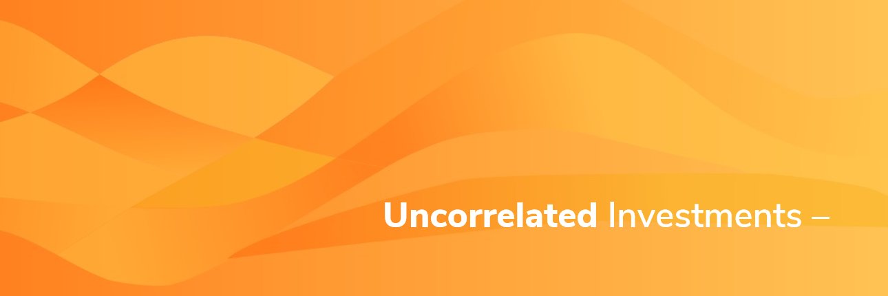 Syz Capital/ Email: [email protected]'s banner