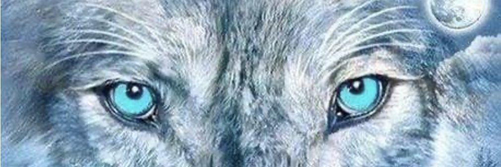 SpeculatedF's profile banner image