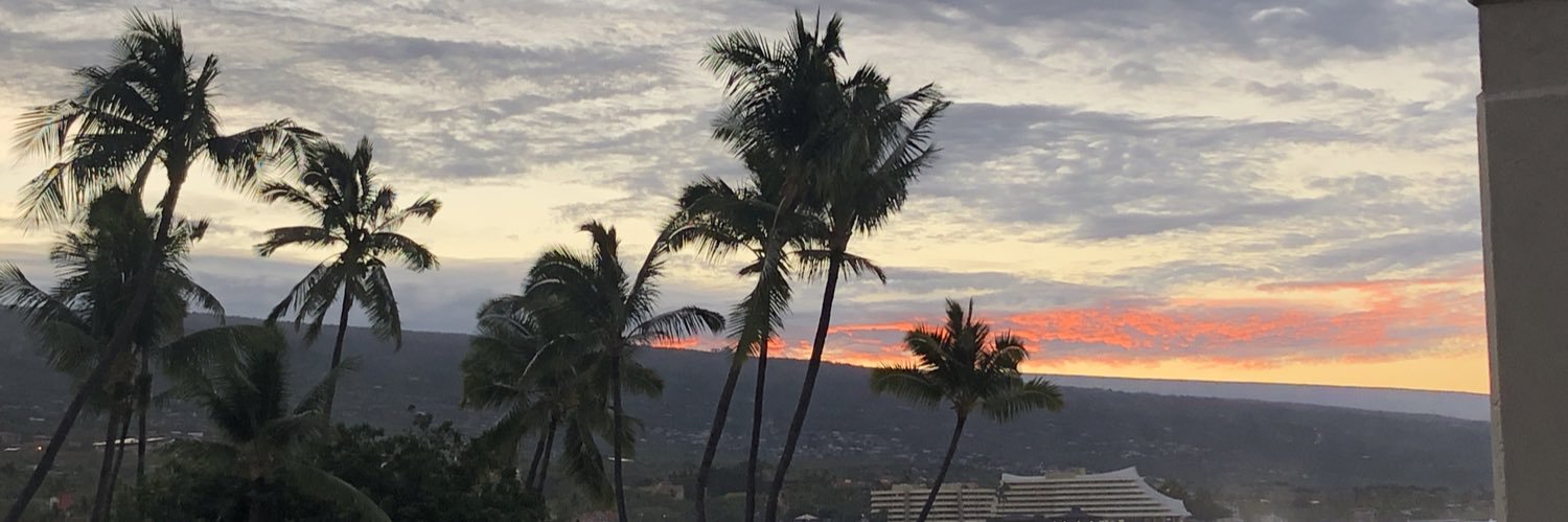 WhatupMusk's profile banner image
