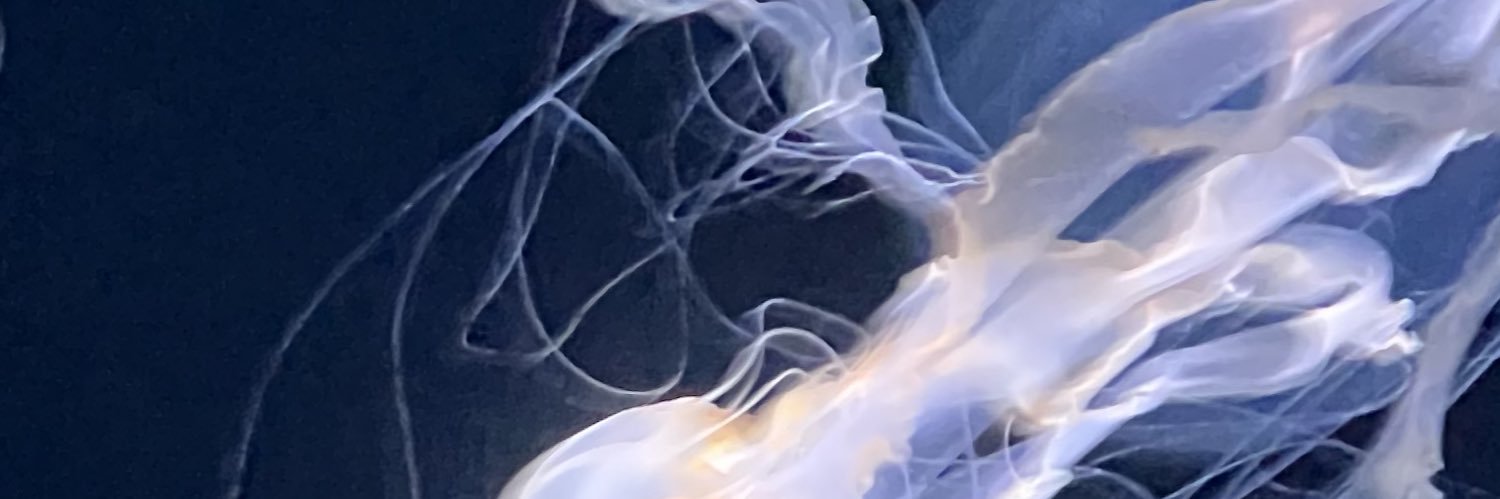 𝓠ⲓⲛ💸's banner