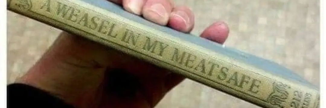 The High Conservative 🇺🇲 banner