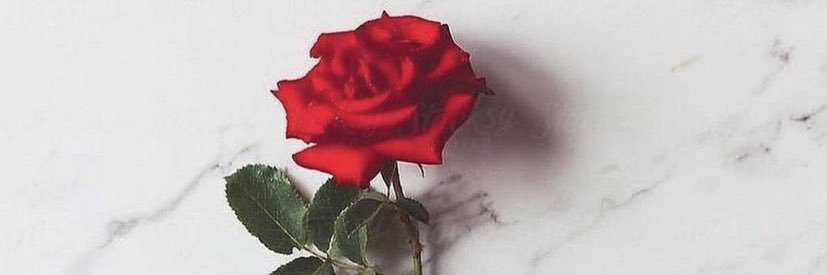 AriEmmaeth1's profile banner image