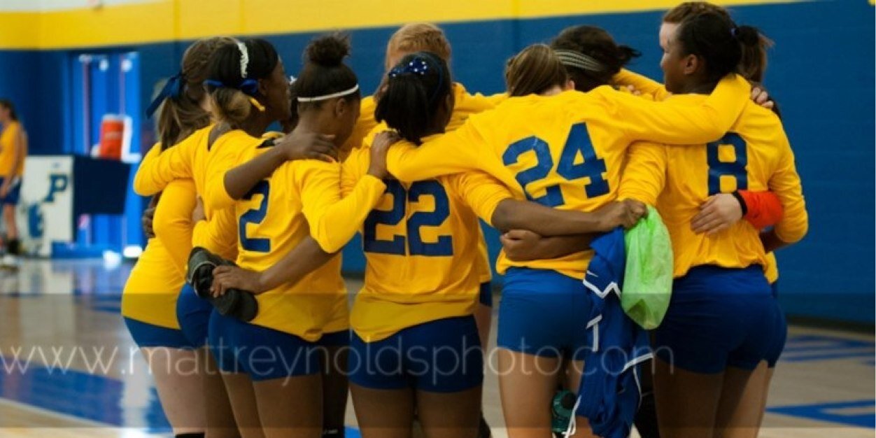 Piedmont Volleyball banner
