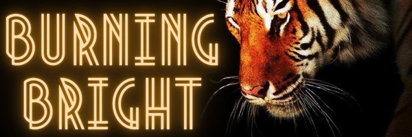 reBurningBright Profile Banner