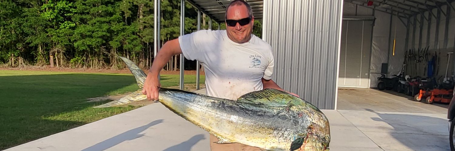 Dolphin Slayer banner