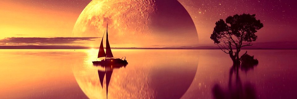 cryptoshobha's profile banner image