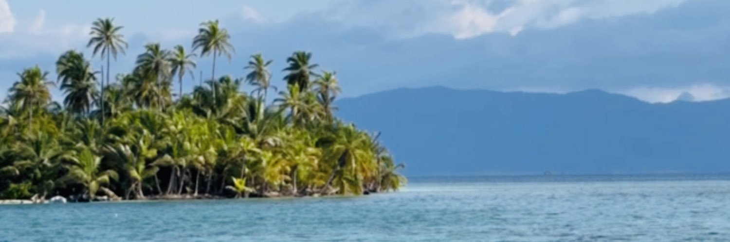 Jason Critides banner