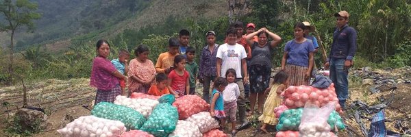 UVOCGUATE Profile Banner