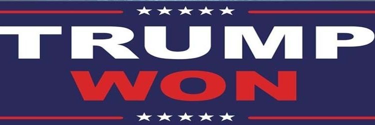 RightWingHippy banner