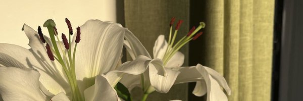 bcaasm Profile Banner