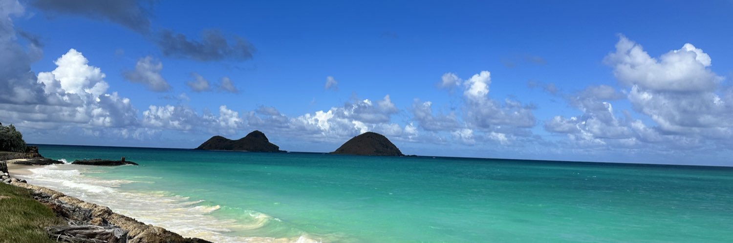 Subsea 🐬⚓️🐬 🫡 🇺🇸 banner