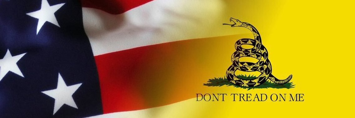 Dont Tread On Me's banner