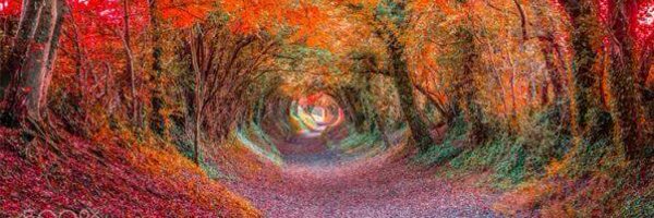 UndergroundGram Profile Banner