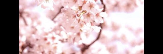 bebedeparis's profile banner image
