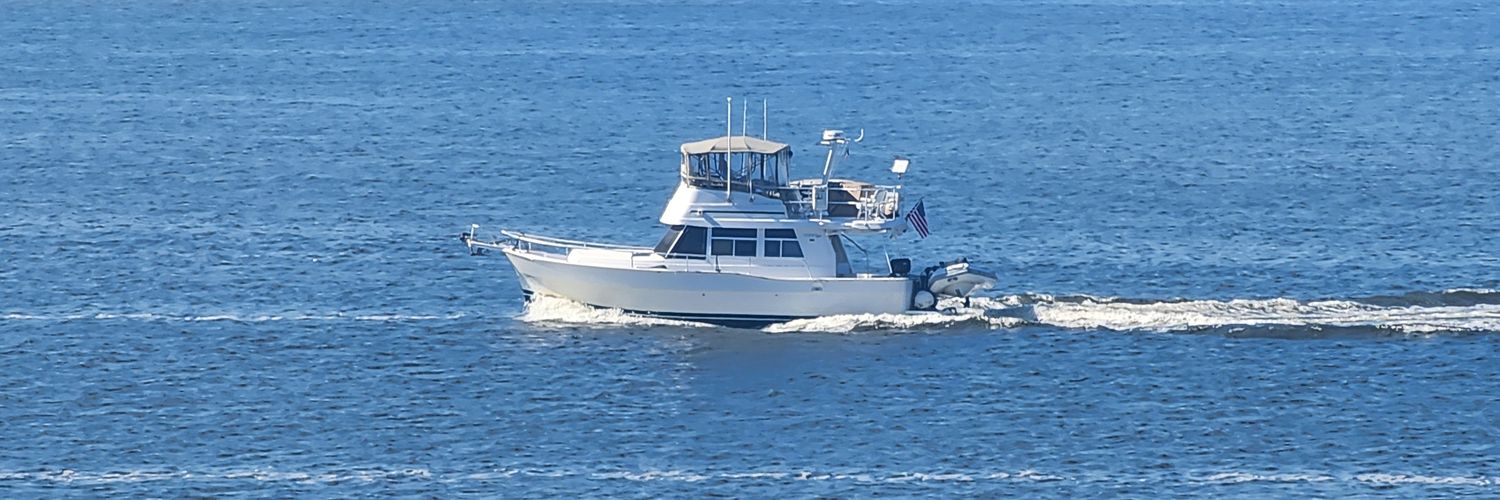 Mitch Rushhton banner