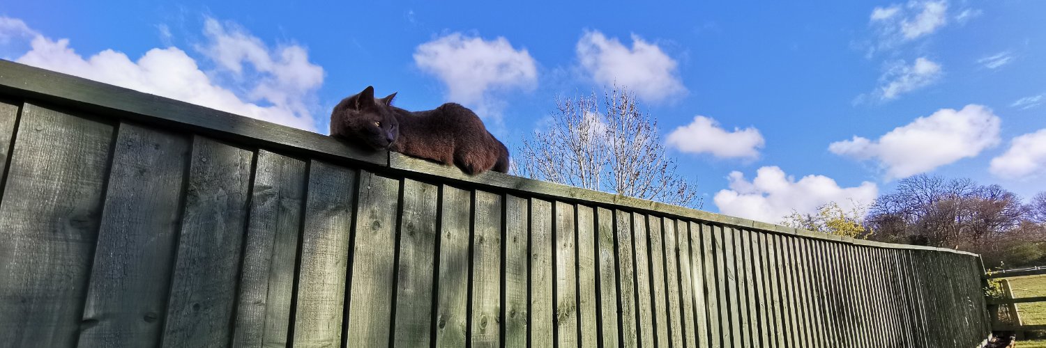 I am but the Conduit banner