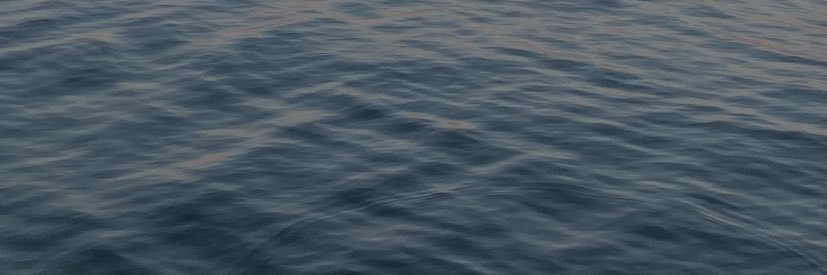 AliceScottA's profile banner image