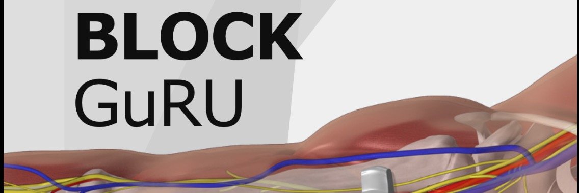 Block GuRU banner