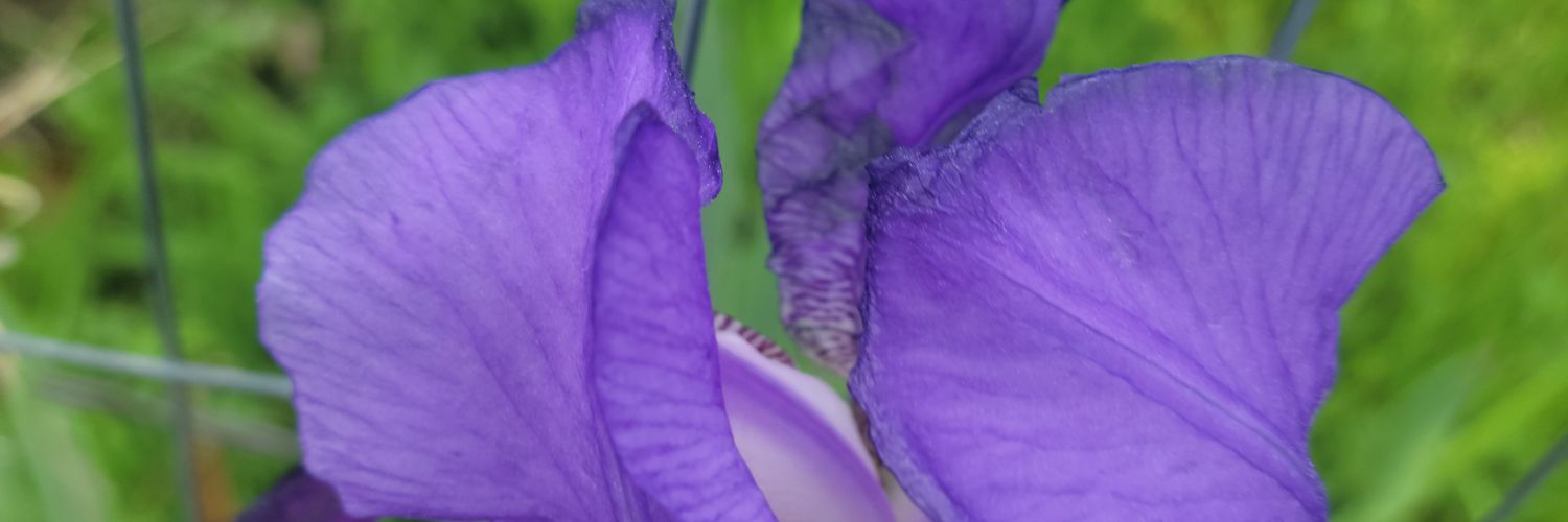 tactoy99's profile banner image