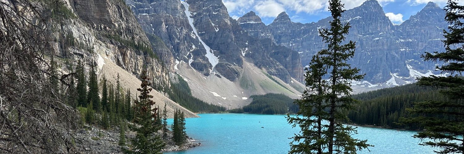 Leland Whaley banner