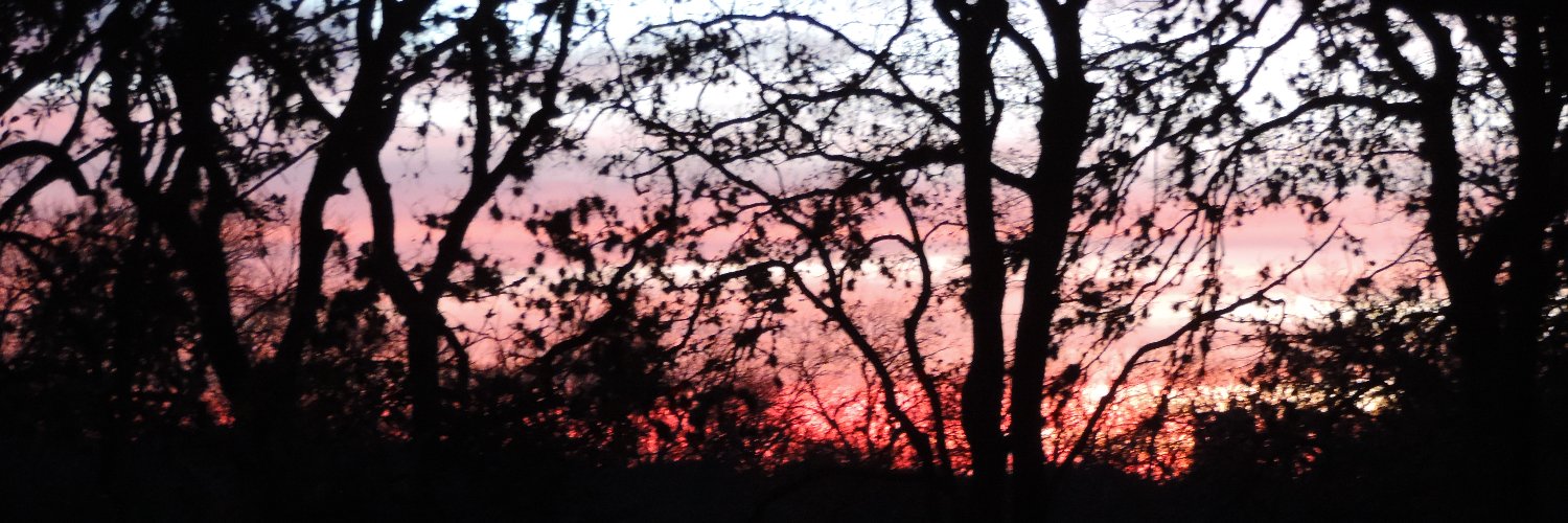 Chuck_STx's profile banner image